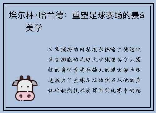 埃尔林·哈兰德：重塑足球赛场的暴力美学
